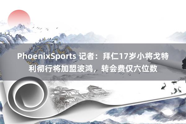 PhoenixSports 记者：拜仁17岁小将戈特利彻行将加盟波鸿，转会费仅六位数