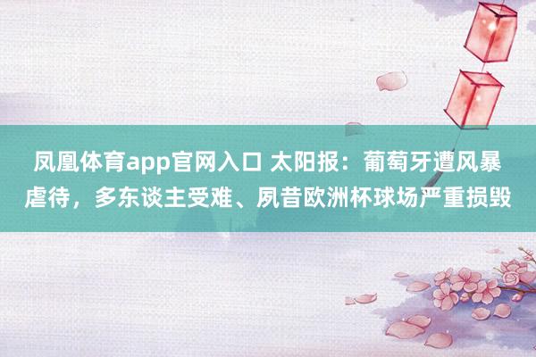 凤凰体育app官网入口 太阳报：葡萄牙遭风暴虐待，多东谈主受难、夙昔欧洲杯球场严重损毁