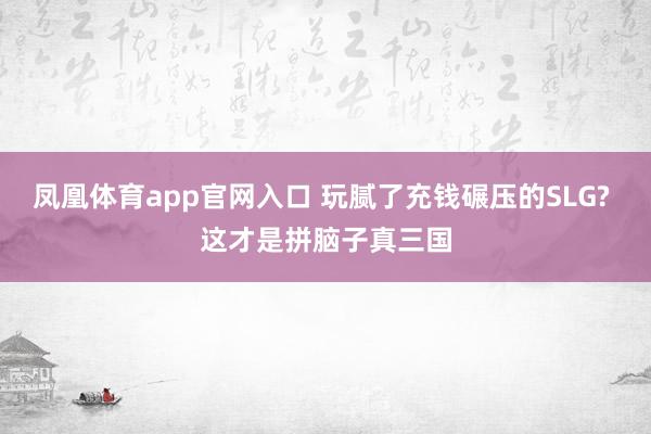 凤凰体育app官网入口 玩腻了充钱碾压的SLG? 这才是拼脑子真三国