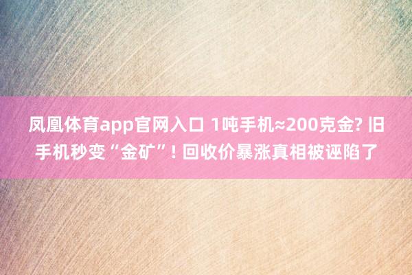 凤凰体育app官网入口 1吨手机≈200克金? 旧手机秒变“金矿”! 回收价暴涨真相被诬陷了