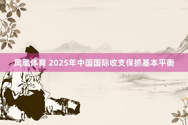 凤凰体育 2025年中国国际收支保抓基本平衡