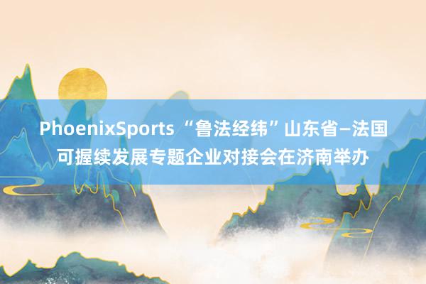 PhoenixSports “鲁法经纬”山东省—法国可握续发展专题企业对接会在济南举办
