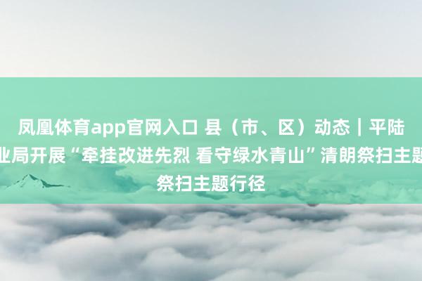 凤凰体育app官网入口 县（市、区）动态｜平陆县林业局开展“牵挂改进先烈 看守绿水青山”清朗祭扫主题行径