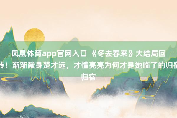 凤凰体育app官网入口 《冬去春来》大结局回转!渐渐献身楚才远,才懂亮亮为何才是她临了的归宿