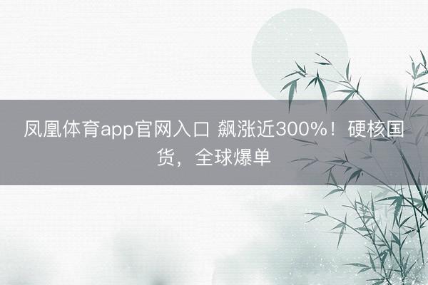 凤凰体育app官网入口 飙涨近300%！硬核国货，全球爆单