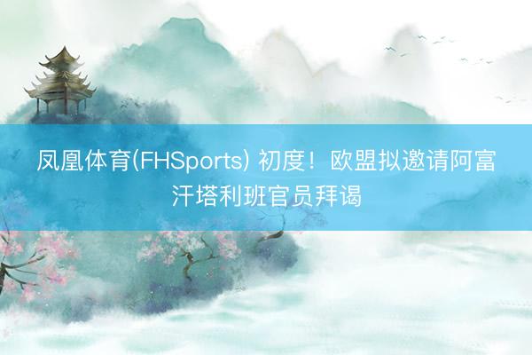 凤凰体育(FHSports) 初度！欧盟拟邀请阿富汗塔利班官员拜谒