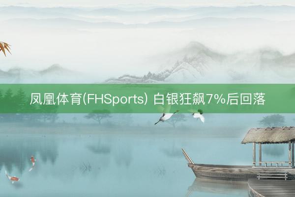 凤凰体育(FHSports) 白银狂飙7%后回落