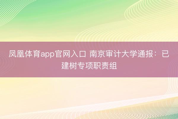 凤凰体育app官网入口 南京审计大学通报：已建树专项职责组