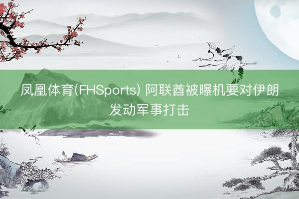 凤凰体育(FHSports) 阿联酋被曝机要对伊朗发动军事打击