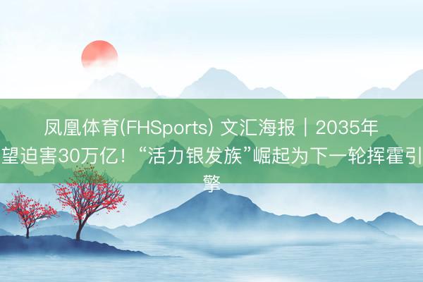 凤凰体育(FHSports) 文汇海报｜2035年有望迫害30万亿！“活力银发族”崛起为下一轮挥霍引擎