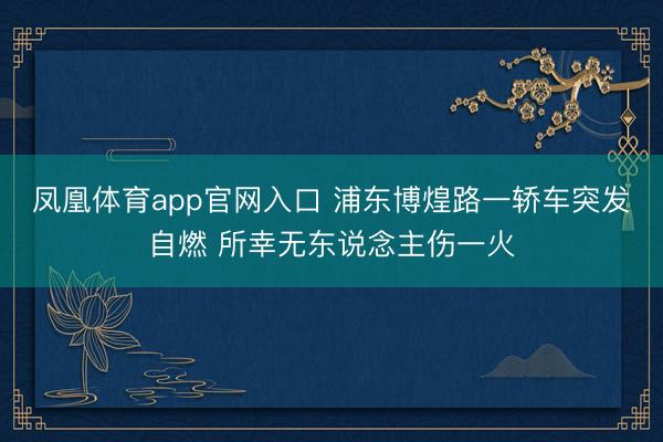 凤凰体育app官网入口 浦东博煌路一轿车突发自燃 所幸无东说念主伤一火