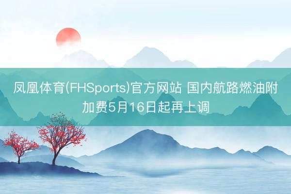 凤凰体育(FHSports)官方网站 国内航路燃油附加费5月16日起再上调