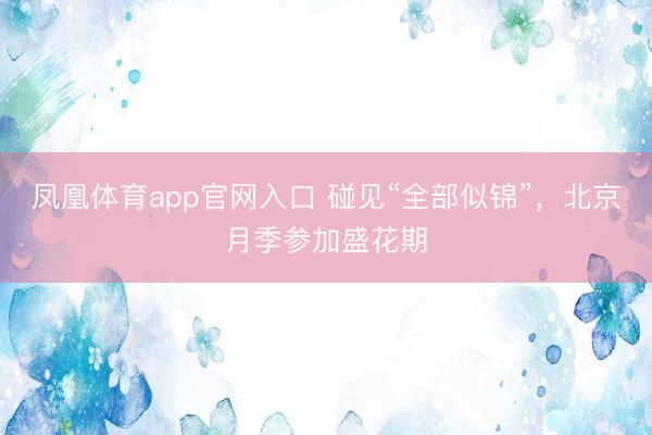 凤凰体育app官网入口 碰见“全部似锦”，<a href=