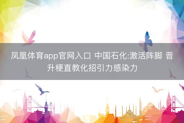 凤凰体育app官网入口 中国石化:激活阵脚 晋升梗直教化招引力感染力