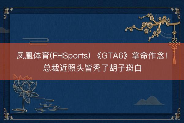 凤凰体育(FHSports) 《GTA6》拿命作念！总裁近照头皆秃了胡子斑白