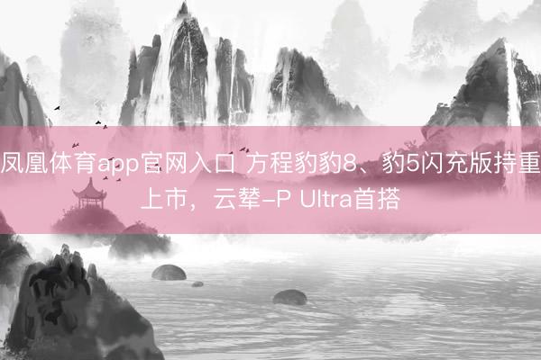 凤凰体育app官网入口 方程豹豹8、豹5闪充版持重上市,云辇-P Ultra首搭