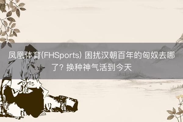 凤凰体育(FHSports) 困扰汉朝百年的匈奴去哪了? 换种神气活到今天
