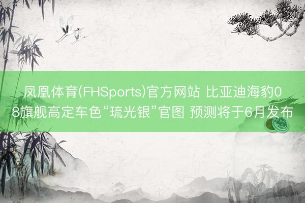 凤凰体育(FHSports)官方网站 比亚迪海豹08旗舰高定车色“琉光银”官图 预测将于6月发布
