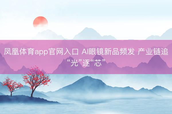 凤凰体育app官网入口 AI眼镜新品频发 产业链追“光”逐“芯”
