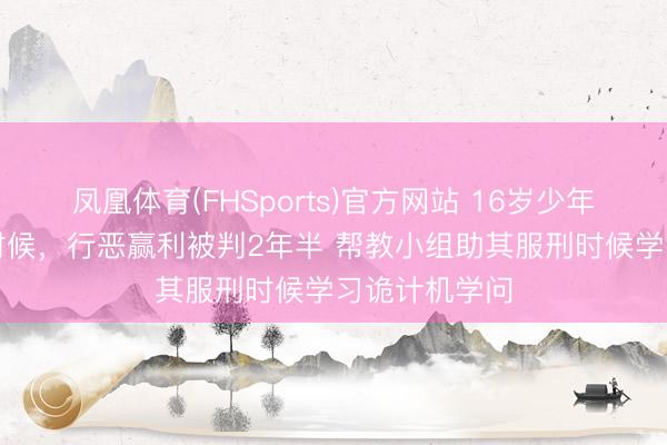凤凰体育(FHSports)官方网站 16岁少年自学“黑客”时候，行恶赢利被判2年半 帮教小组助其服刑时候学习诡计机学问