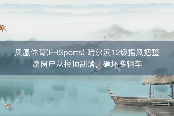 凤凰体育(FHSports) 哈尔滨12级摇风把整扇窗户从楼顶刮落,砸坏多辆车