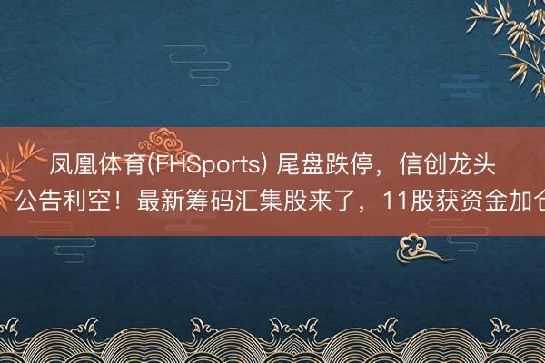 凤凰体育(FHSports) 尾盘跌停，信创龙头，公告利空！最新筹码汇集股来了，11股获资金加仓